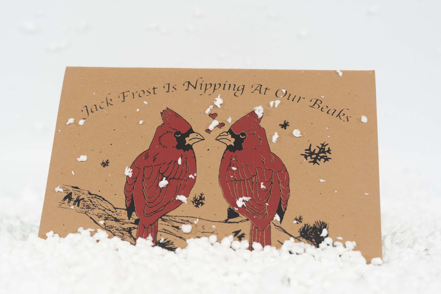 Nipping At Your Beak Holiday Card